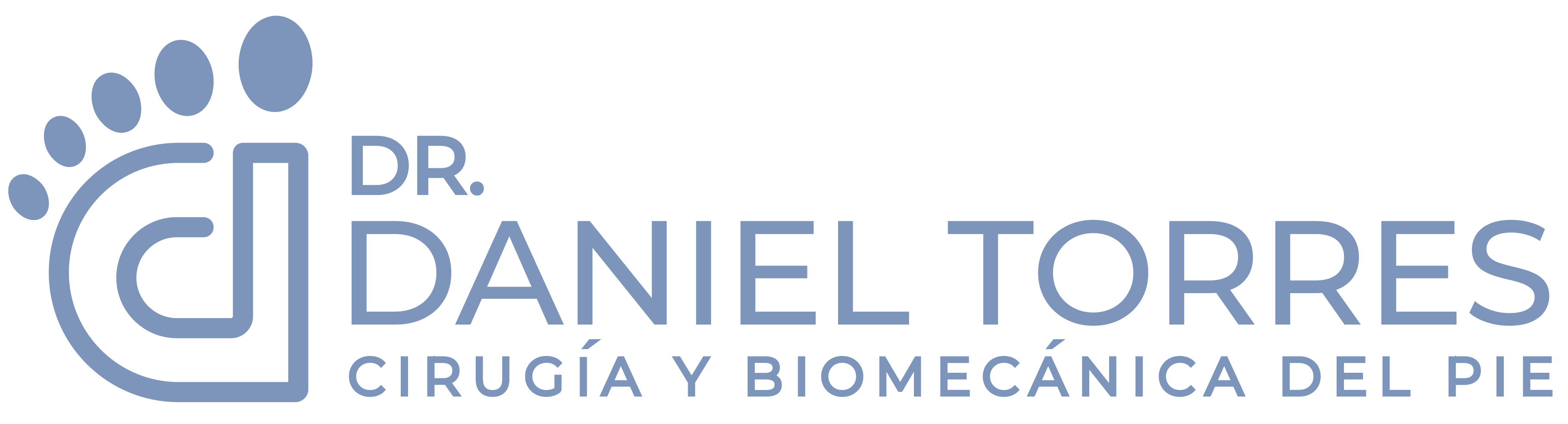 Logo Dr. Daniel Torres
